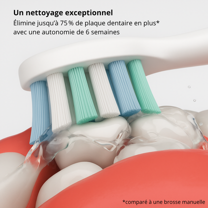 Hydropulseur